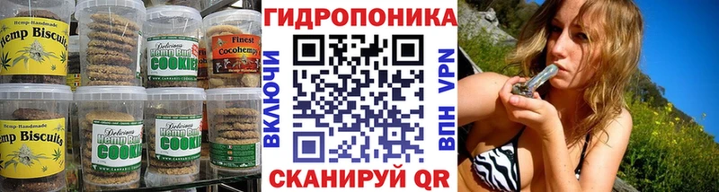 Купить где  Звенигово  Canna-Cookies конопля 
