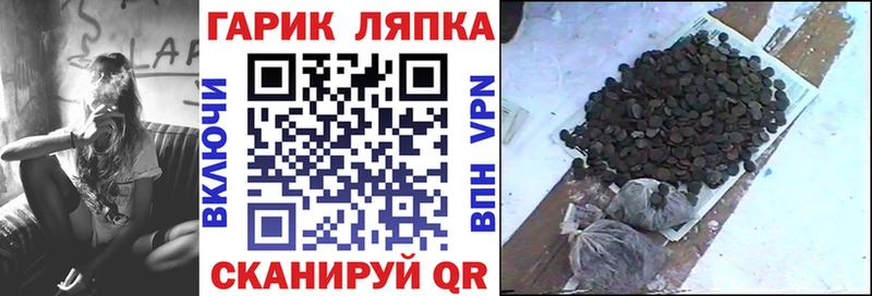 Купить  Звенигово  Гашиш индика сатива 
