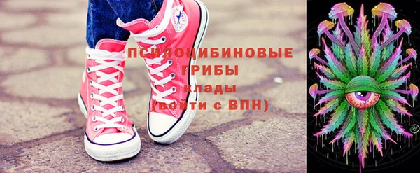 герыч Каменногорск